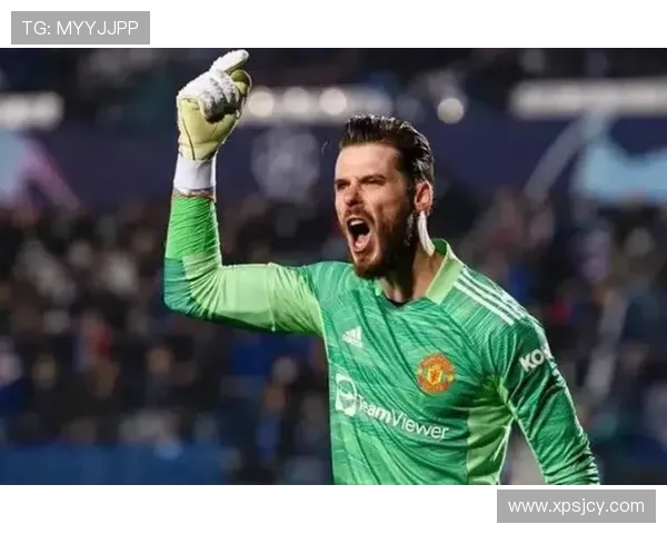 足球场上的璀璨星光:许多足球明星的精彩瞬间与背后故事 足球场上的璀璨星光:许多足球明星的精彩瞬间与背后故事