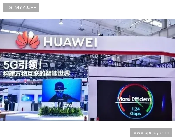 北京排球队运营分析：成功经验与面临挑战的全面探讨